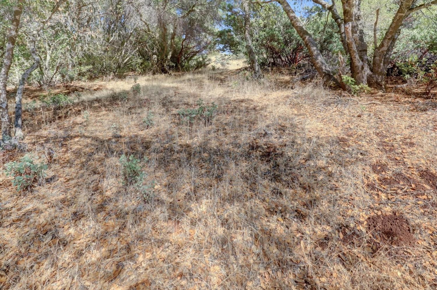 12920 Woodlake Road Grass Valley, CA 95949 - Photo 80 of 99