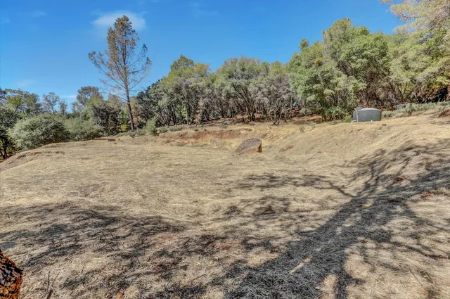a view of a yard with a tree