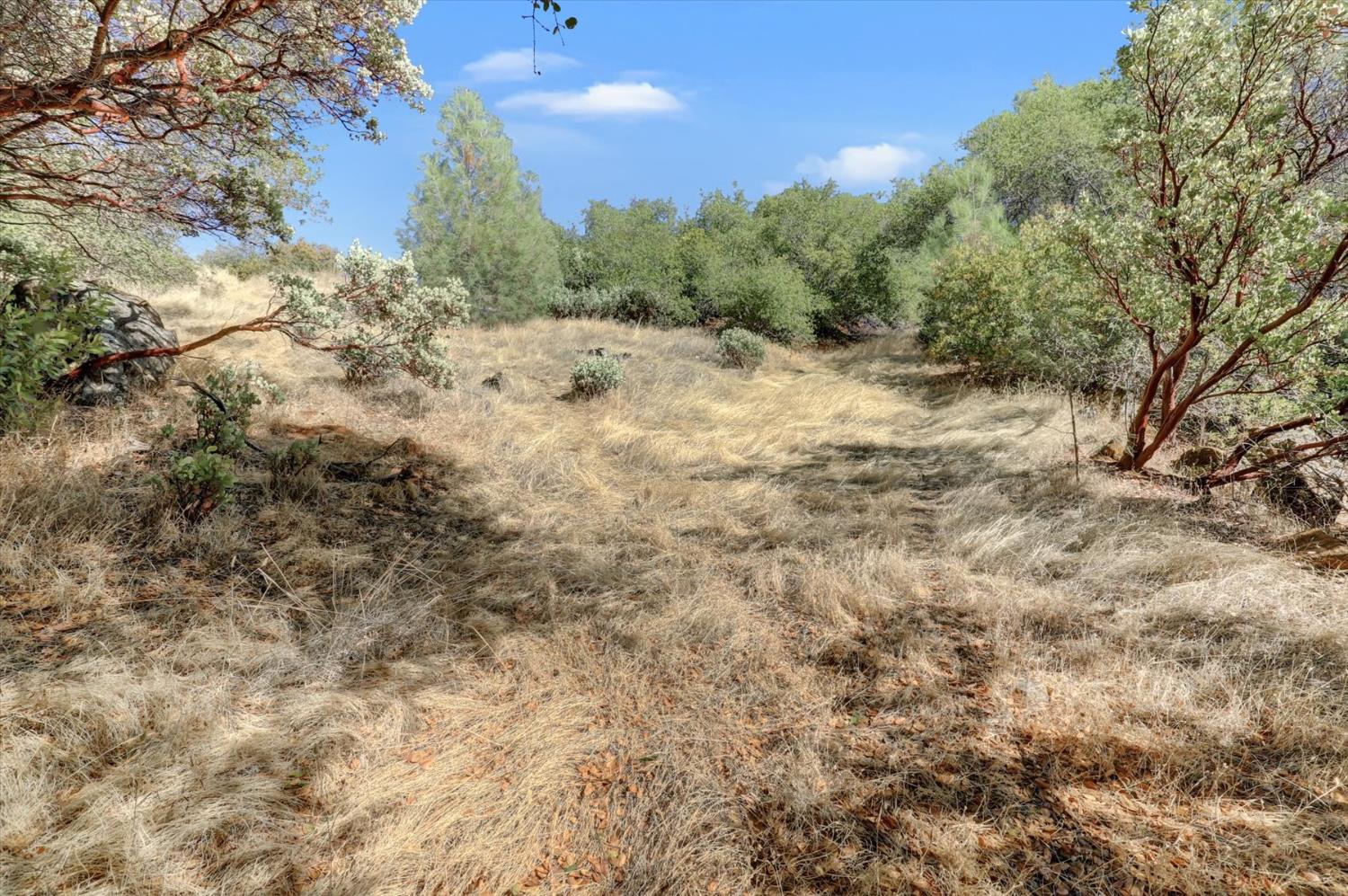 12920 Woodlake Road Grass Valley, CA 95949 - Photo 81 of 99