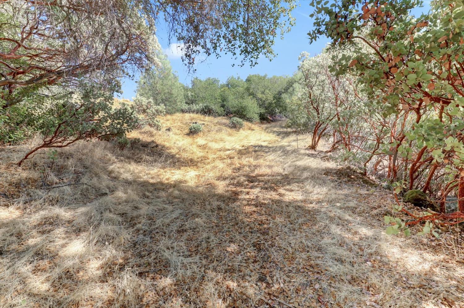 12920 Woodlake Road Grass Valley, CA 95949 - Photo 82 of 99