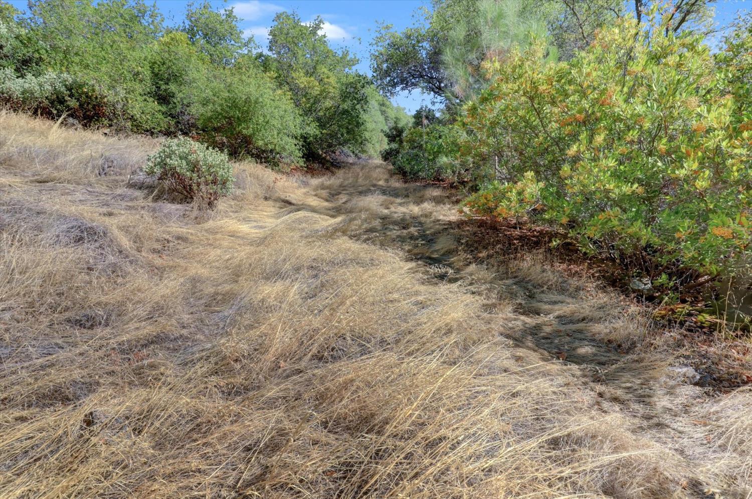 12920 Woodlake Road Grass Valley, CA 95949 - Photo 83 of 99