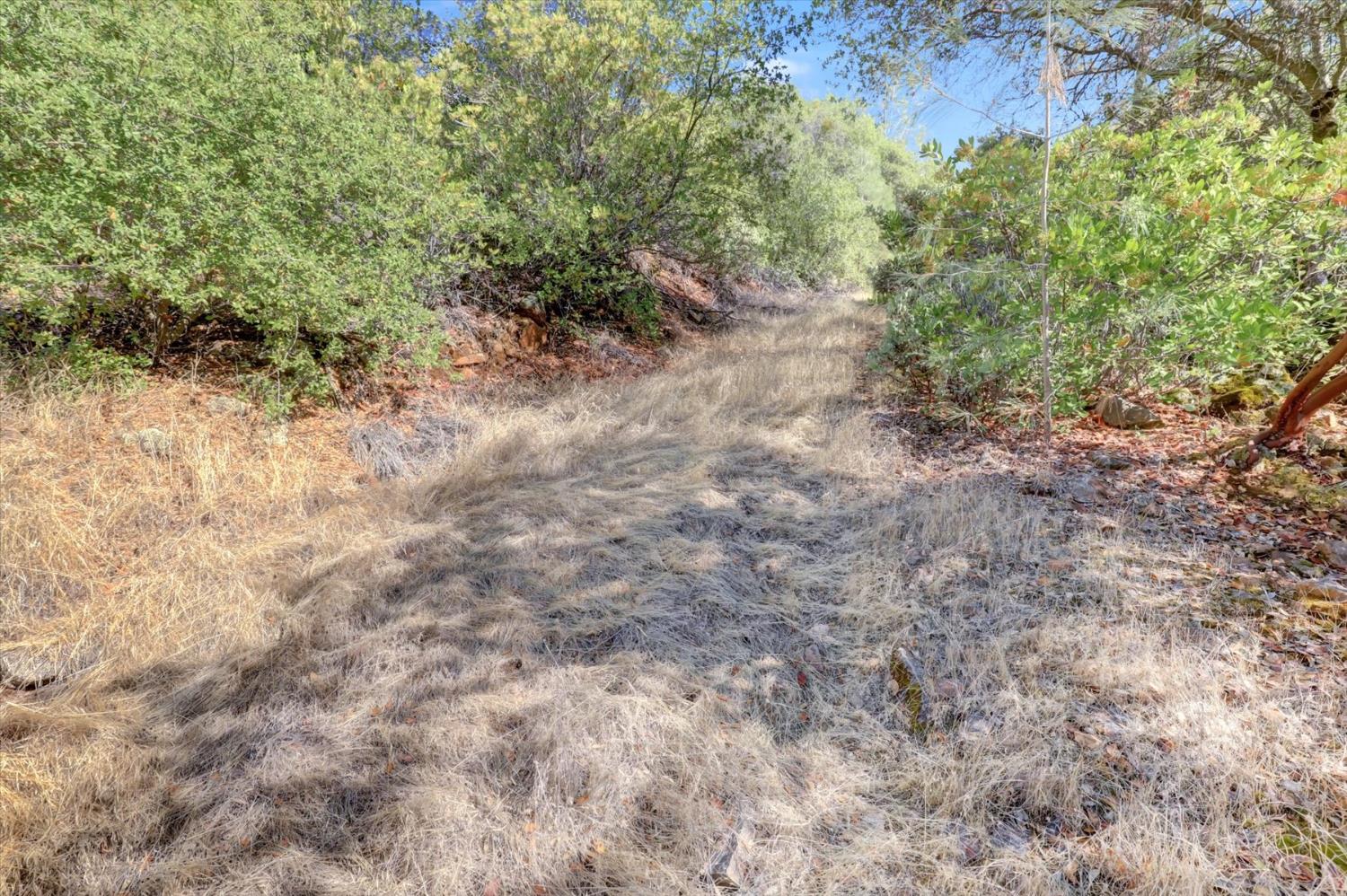 12920 Woodlake Road Grass Valley, CA 95949 - Photo 84 of 99