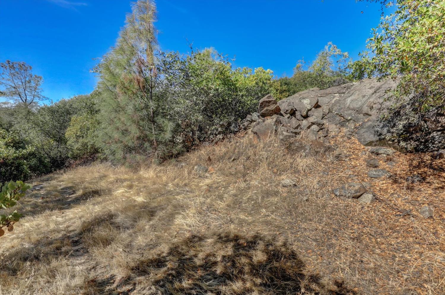 12920 Woodlake Road Grass Valley, CA 95949 - Photo 87 of 99