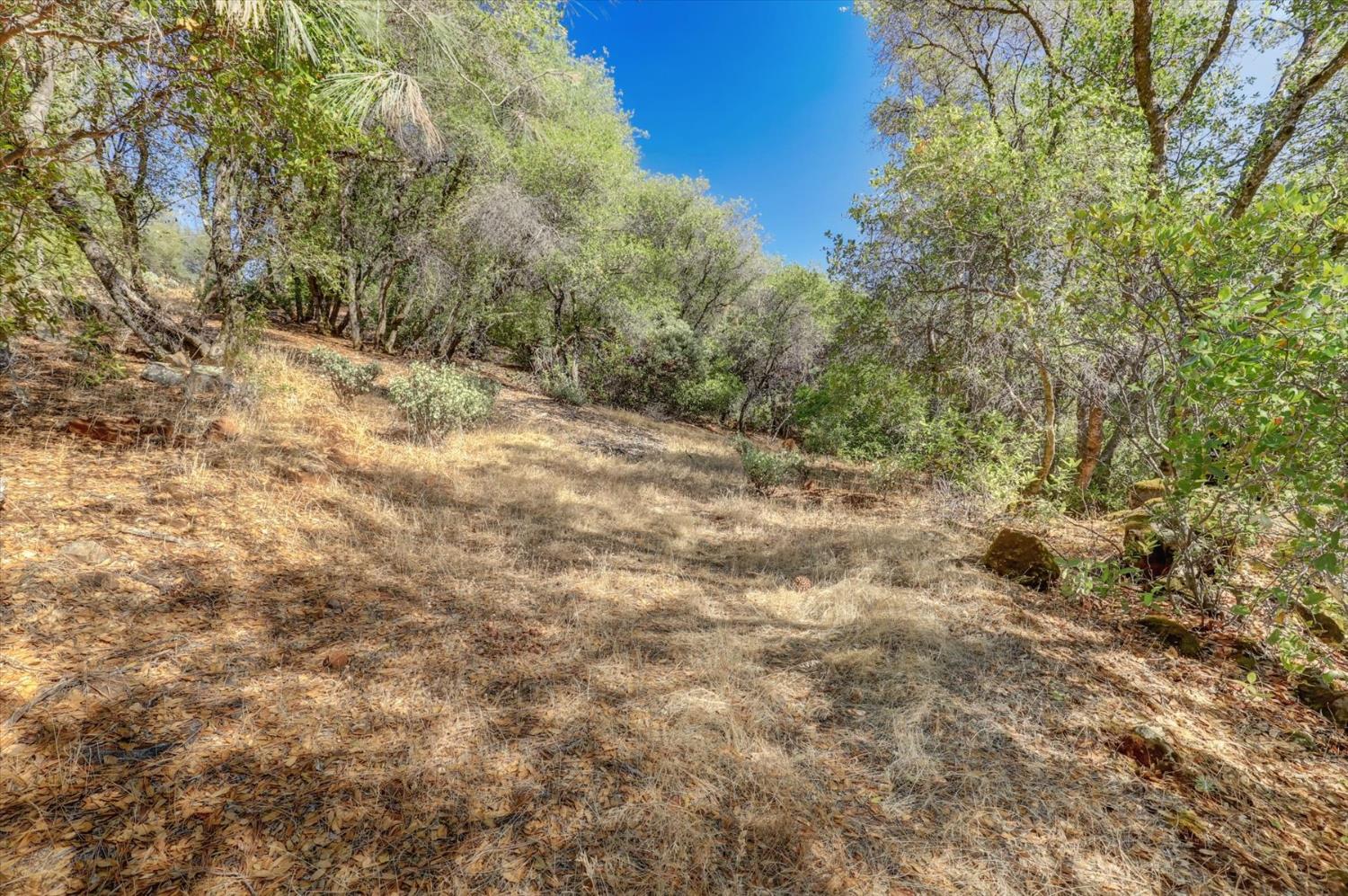 12920 Woodlake Road Grass Valley, CA 95949 - Photo 88 of 99