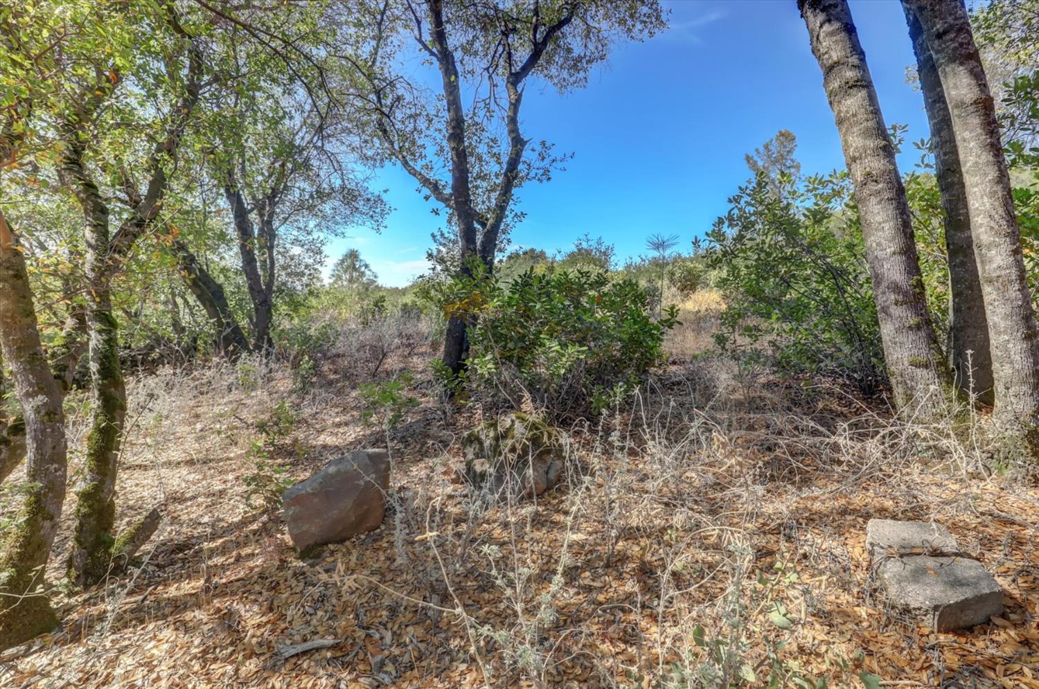 12920 Woodlake Road Grass Valley, CA 95949 - Photo 89 of 99