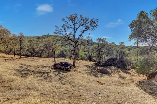 a view of a yard with a tree
