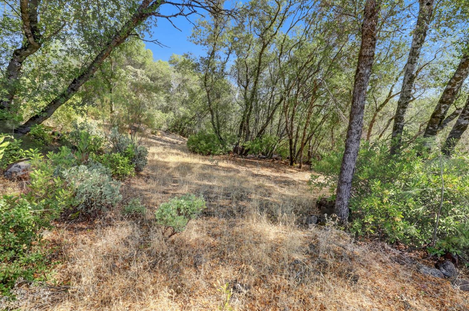 12920 Woodlake Road Grass Valley, CA 95949 - Photo 95 of 99