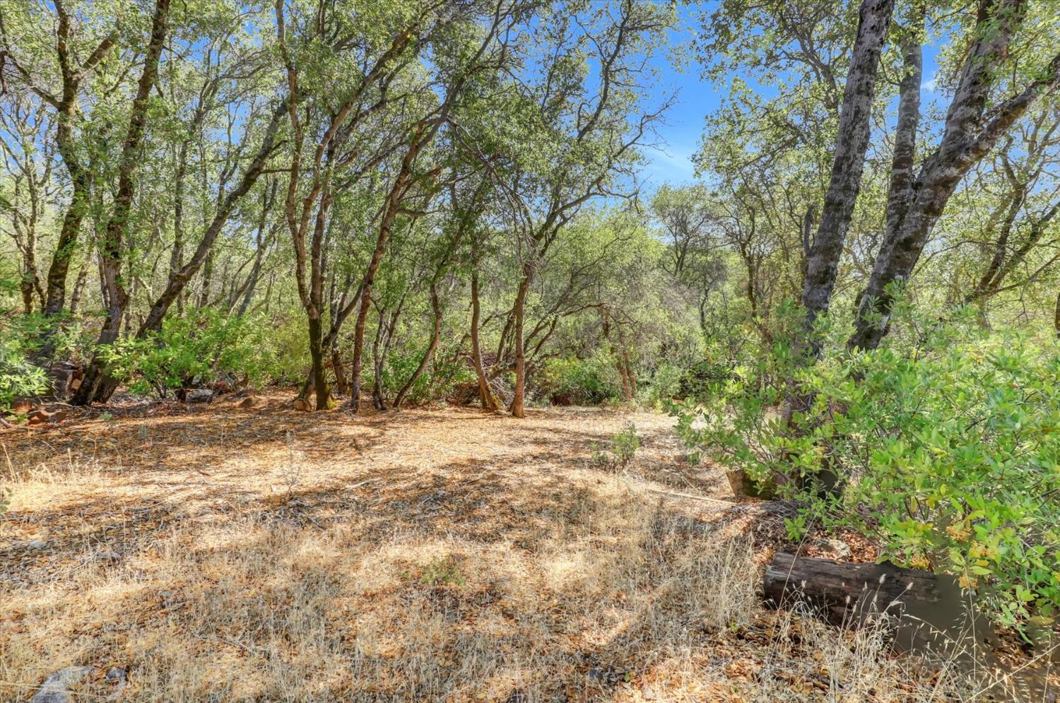 12920 Woodlake Road Grass Valley, CA 95949 - Photo 96 of 99