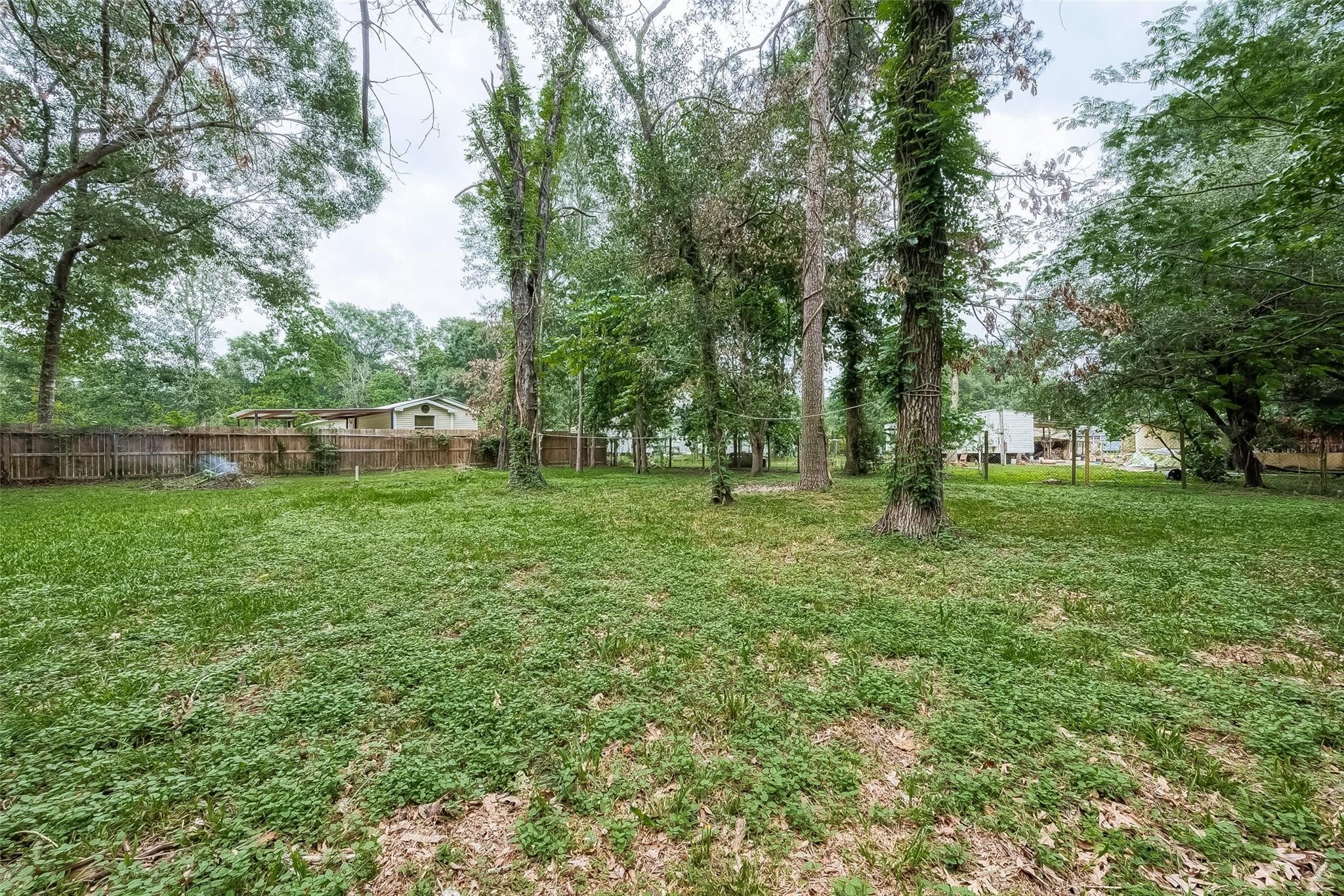 17536 White Oak Orchard Conroe, TX 77306 - Photo 24 of 24 a view of park with trees