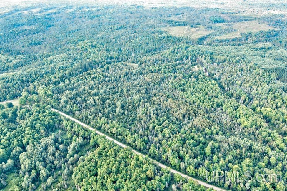 64.84 A Off S15 Road Rapid River, MI 49878 - Photo 11 of 16 Gallery Image 11