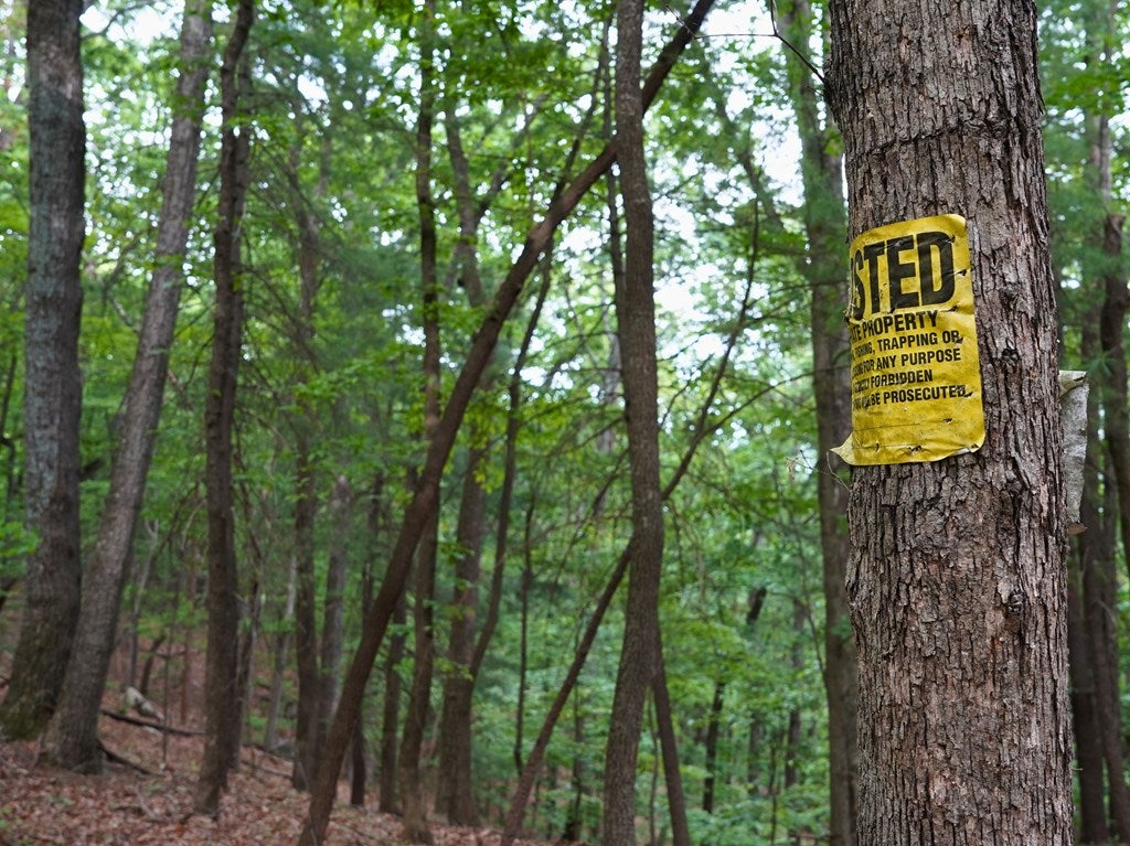 Tbd Webb Mountain Road Boones Mill, VA 24065 - Photo 29 of 36 Gallery Image 29