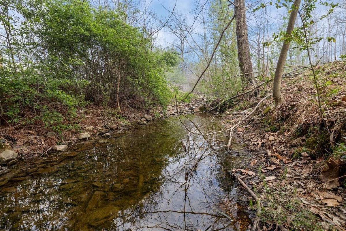 105 Clearwater Drive Tennessee Ridge, TN 37178 - Photo 8 of 67