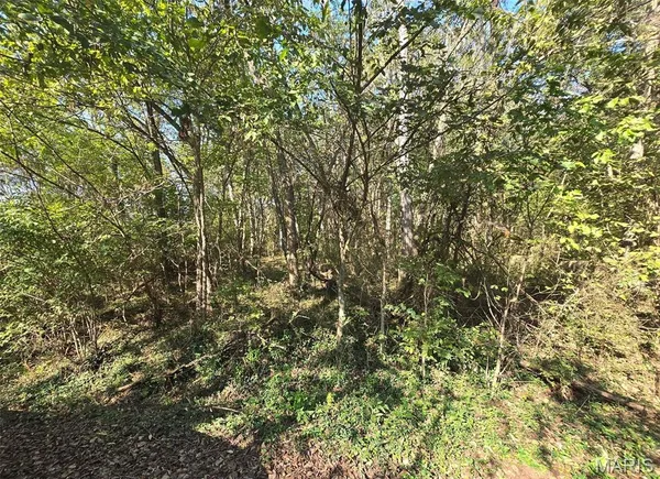 $22,500 | 570 Sycamore Street, Newburg, MO 65550
