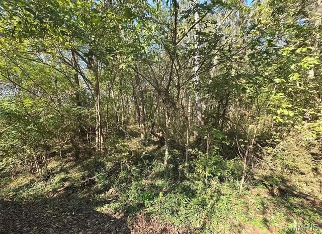 $25,000 | 570 Sycamore Street, Newburg, MO 65550