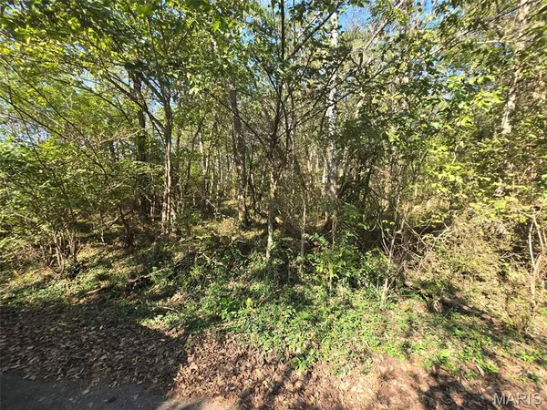 $22,500 | 570 Sycamore Street, Newburg, MO 65550