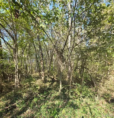 $25,000 | 570 Sycamore Street, Newburg, MO 65550