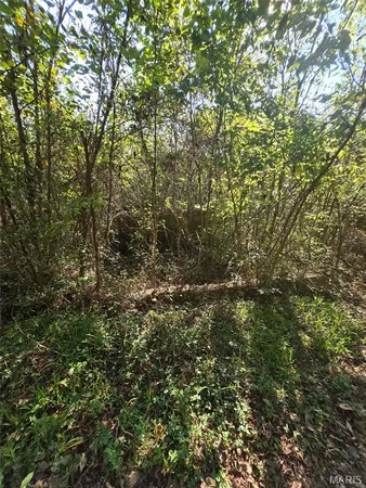 $22,500 | 570 Sycamore Street, Newburg, MO 65550
