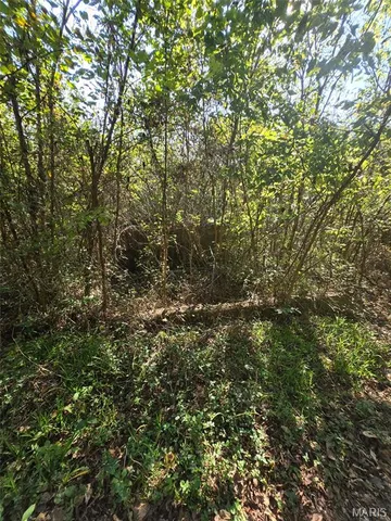 $25,000 | 570 Sycamore Street, Newburg, MO 65550