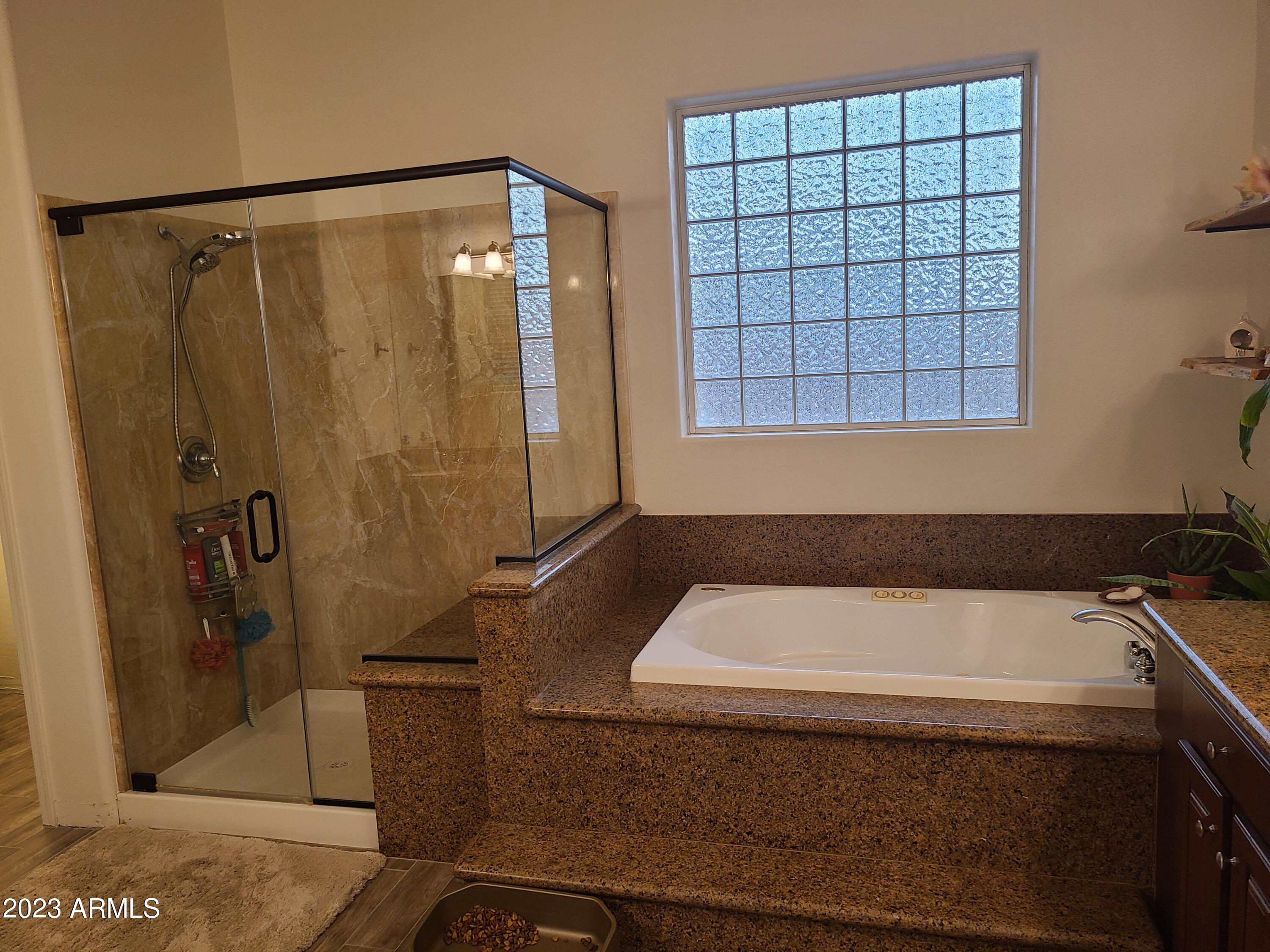 6806 North Citrus Road Waddell, AZ 85355 - Photo 107 of 124 Master Bath 2