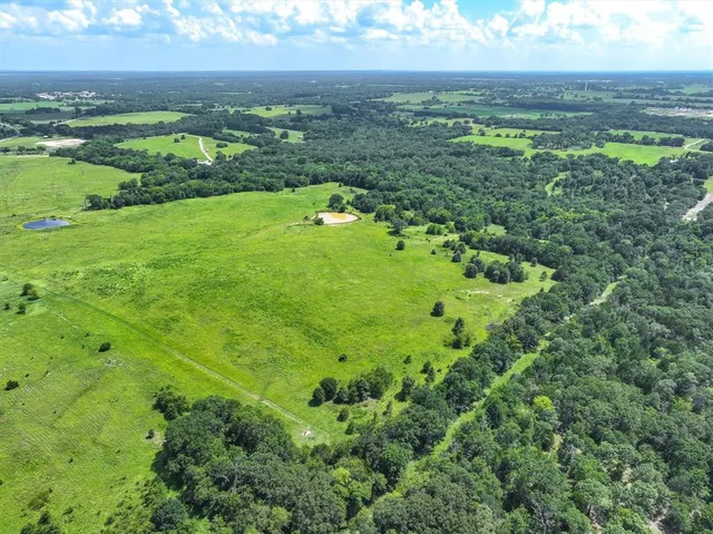a view of a garden with an ocean