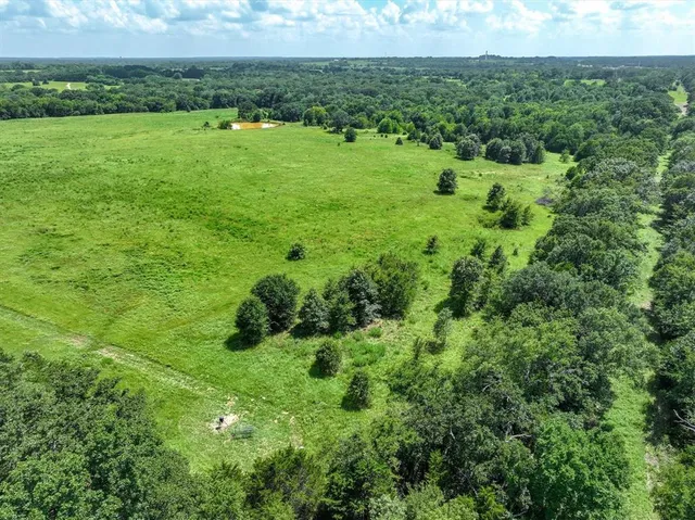 a view of a lush green field