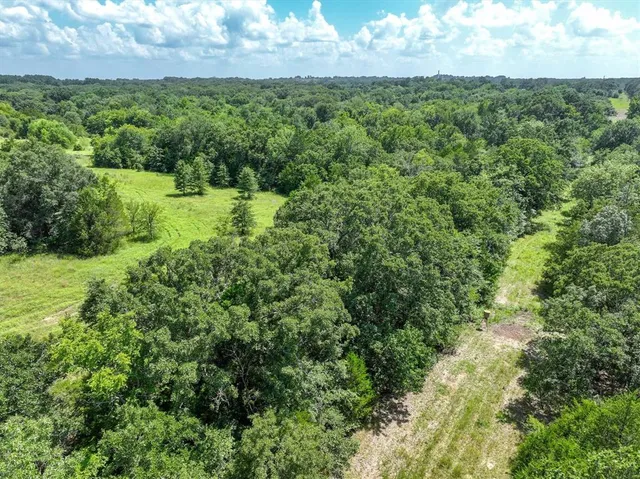 a view of a green yard with large trees