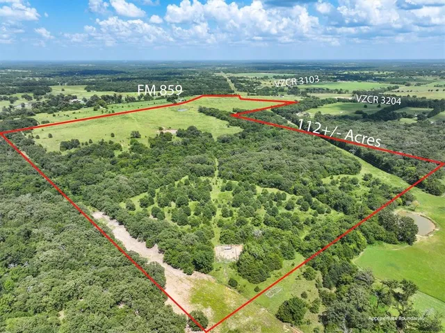 a view of a field with an ocean