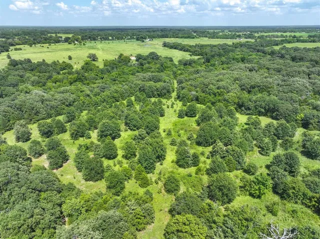 a view of a lush green field