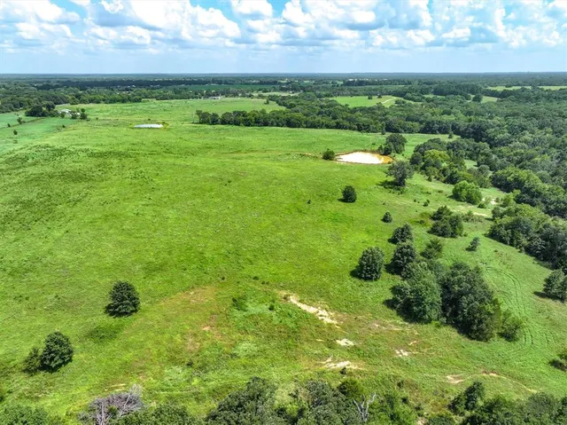 a view of yard with green space
