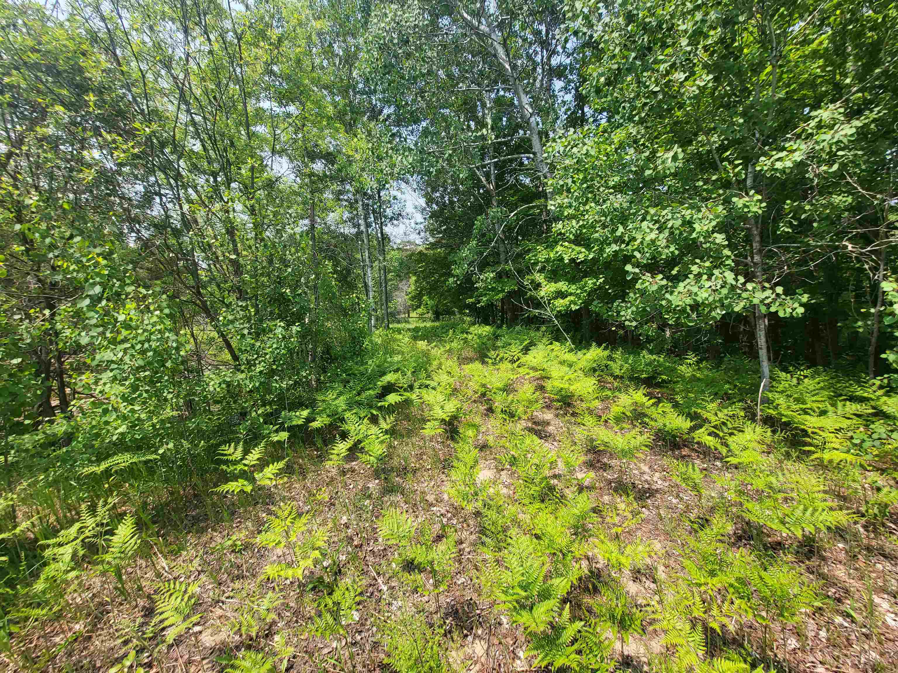 0 Springdale Road Thompsonville, MI 49683 - Photo 18 of 28