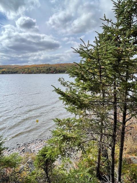 837 Sly Brook Road Wallagrass, ME 04781 - Photo 7 of 55 IMG_5200