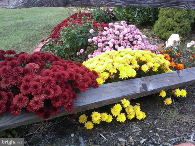 5203 Huntingtown Road Huntingtown, MD 20639 - Photo 2 of 25 Garden