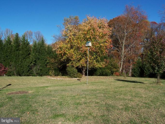 5203 Huntingtown Road Huntingtown, MD 20639 - Photo 15 of 25 Back yard
