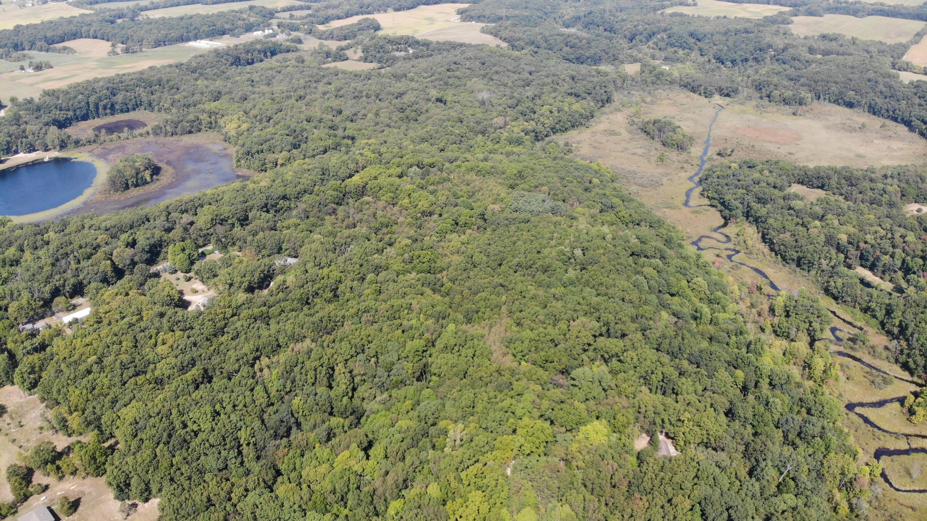 12 Highway 12 Jones, MI 49061 - Photo 4 of 5 DJI_0111