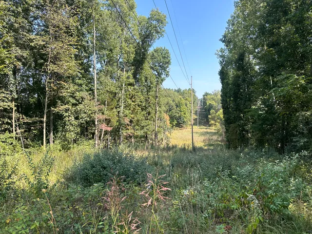 $49,900 | 12 Highway 12, Jones, MI 49061