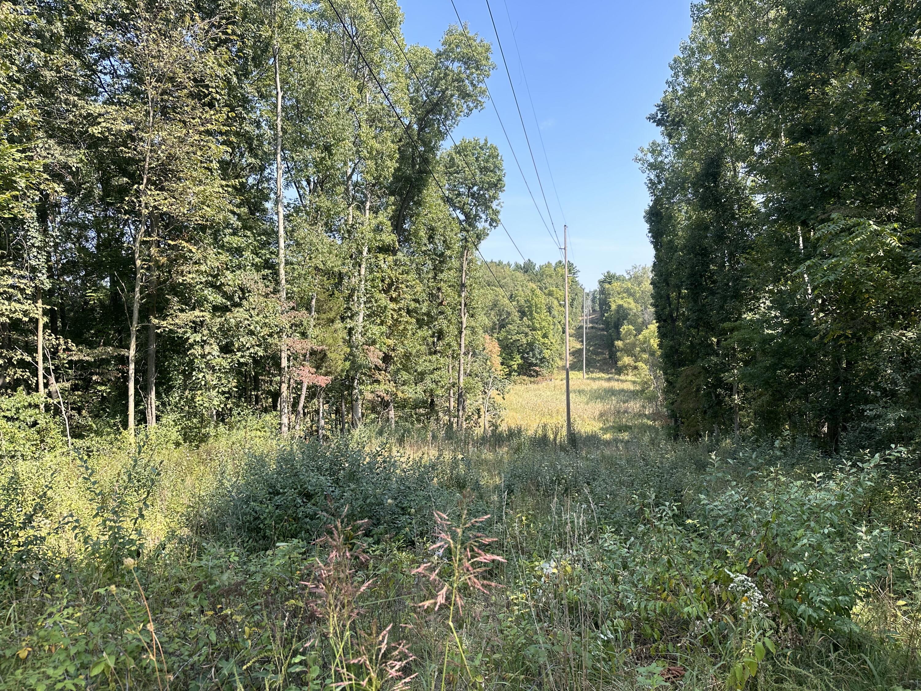 12 Highway 12 Jones, MI 49061 - Photo 5 of 5 IMG_2077