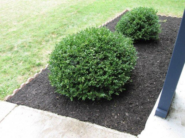 707 Stephens Road Independence, KY 41051 - Photo 26 of 29 Gallery Image 26