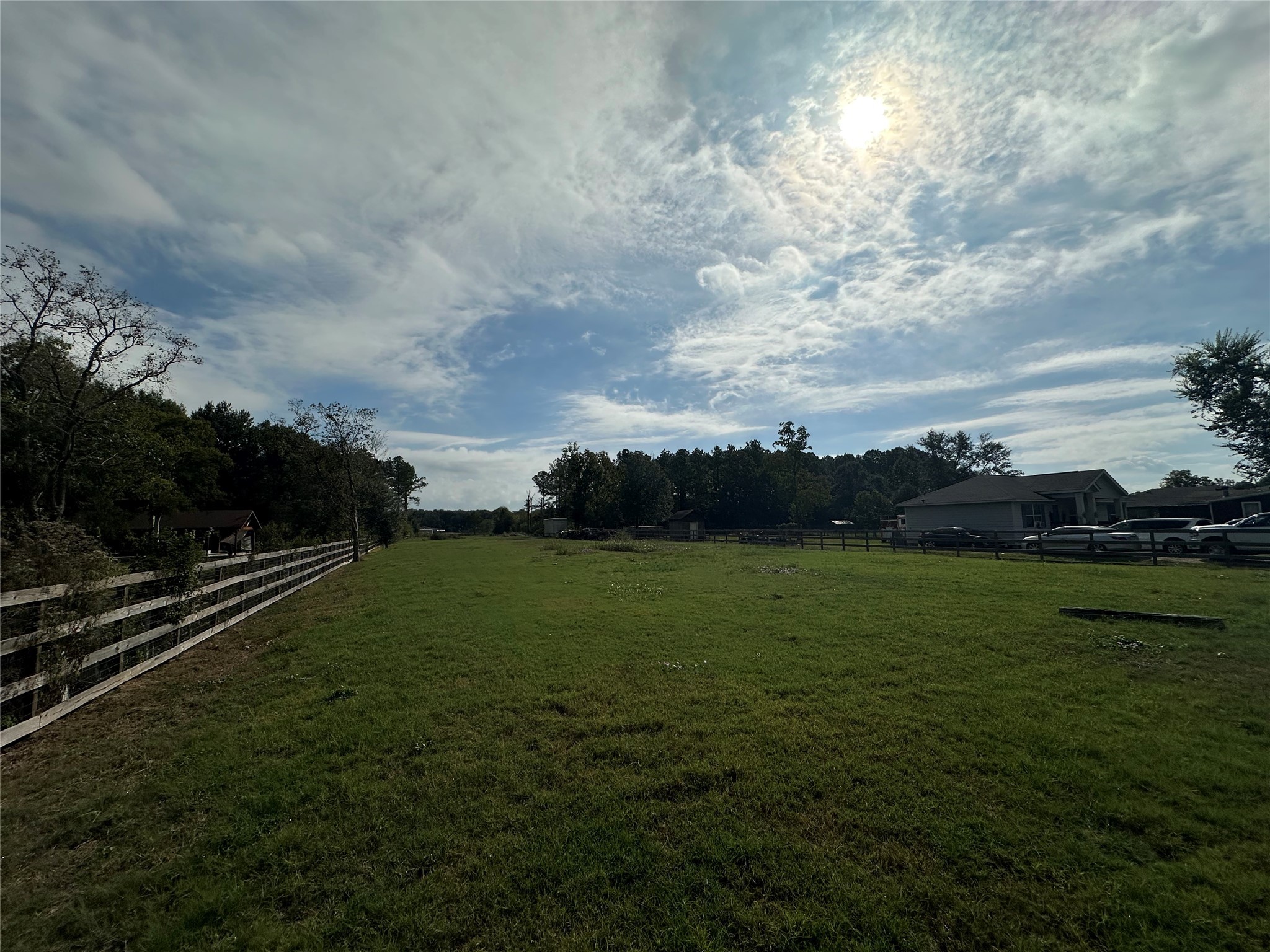 3315 Indiana Street Fresno, TX 77545 - Photo 3 of 6 a view of a field of grass and trees