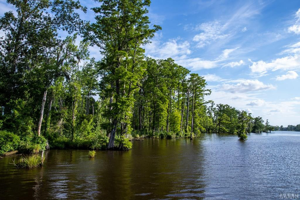 468 Batts Island Road Edenton, NC 27932 - Photo 9 of 12 Yeopim River from Boat Launch and Dock