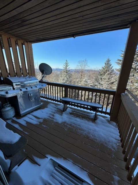 108 A Summit Road Snowshoe, WV 26209 - Photo 23 of 27 Gallery Image 23