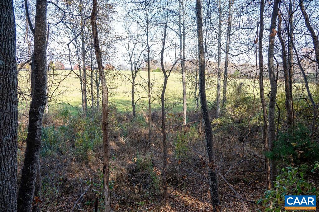 Tbd Red Hill Road Charlottesville, VA 22903 - Photo 39 of 50 a view of forest