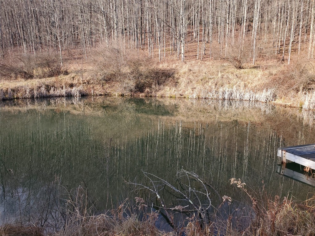 259 Foran Road Friendsville, PA 18818 - Photo 19 of 19 Gallery Image 19