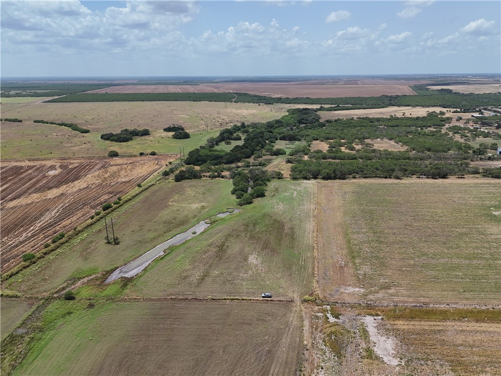 0 Bartosch Road Robstown, TX 78380 - Photo 6 of 22 South End of property line with Leon Creek