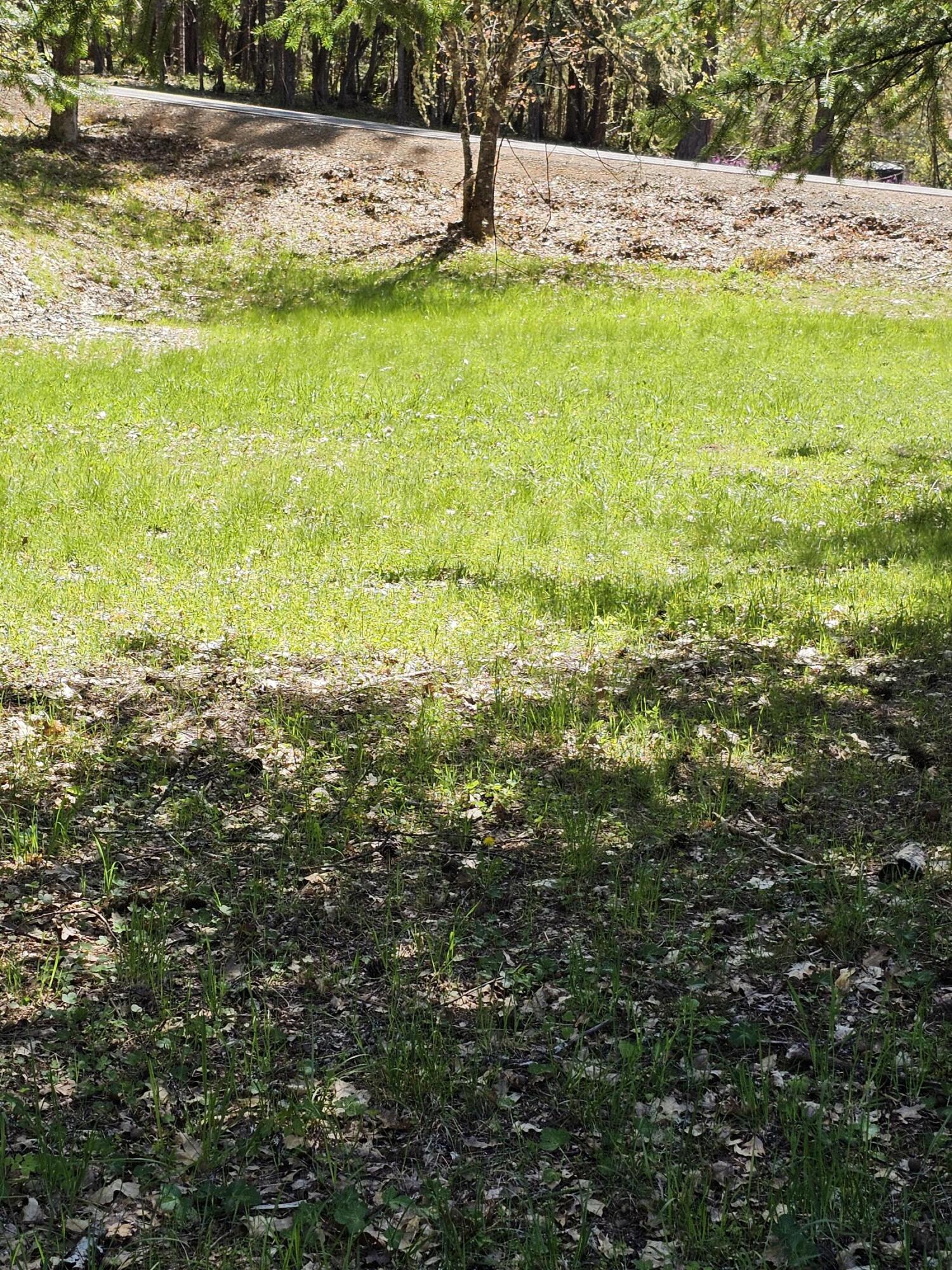 Marcy Loop Road, Unit 1001 Grants Pass, OR 97527 - Photo 12 of 22 1000007286