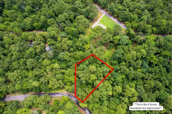 $8,000 | Lot 33 Spring Creek Drive, Mount Vernon, TX 75457