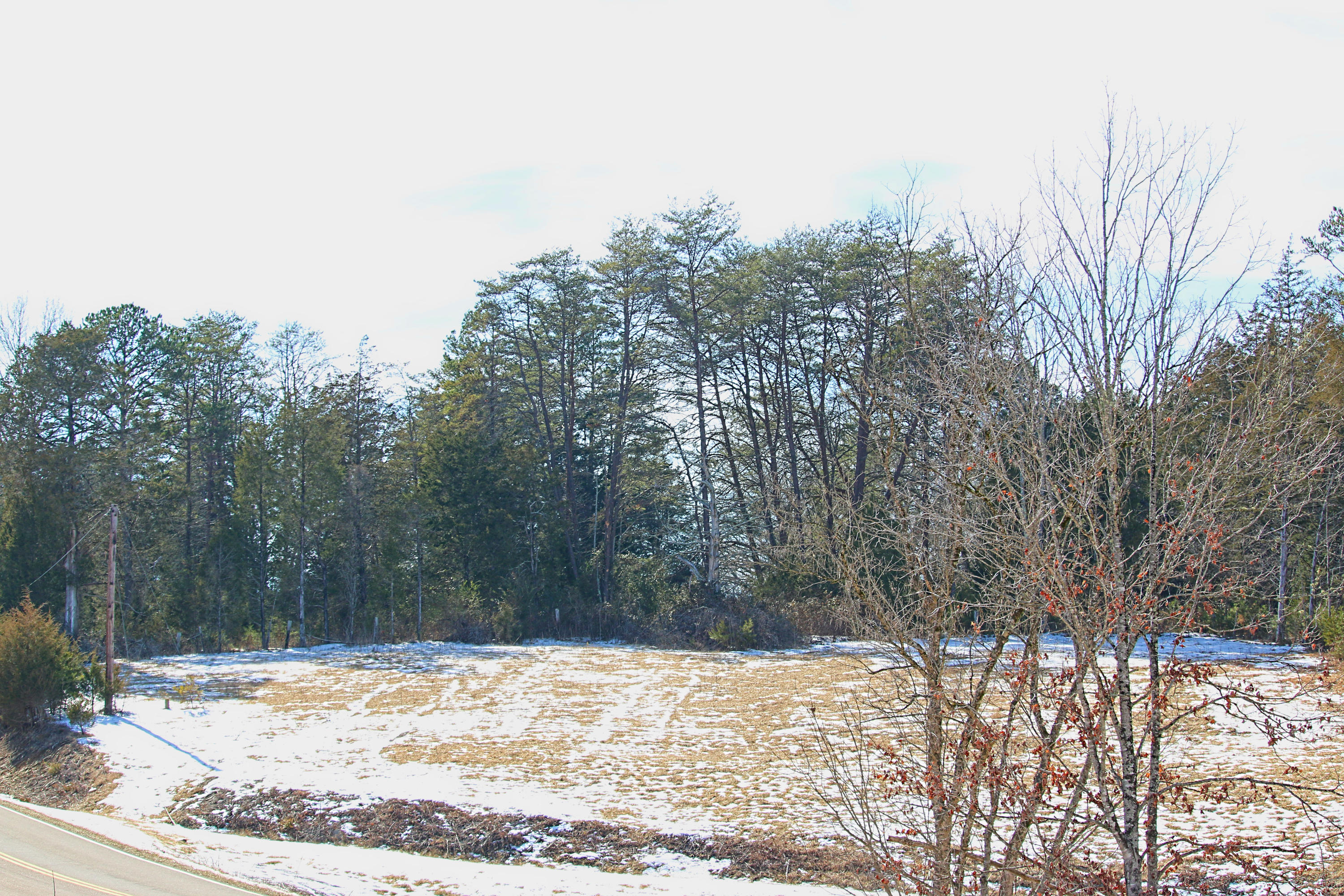 1966 Hickory Valley Road Maynardville, TN 37807 - Photo 2 of 13 Canon 10