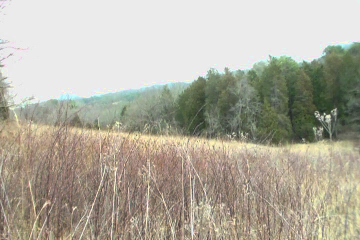 1966 Hickory Valley Road Maynardville, TN 37807 - Photo 12 of 13 1966 Hickory Valley Rd 1