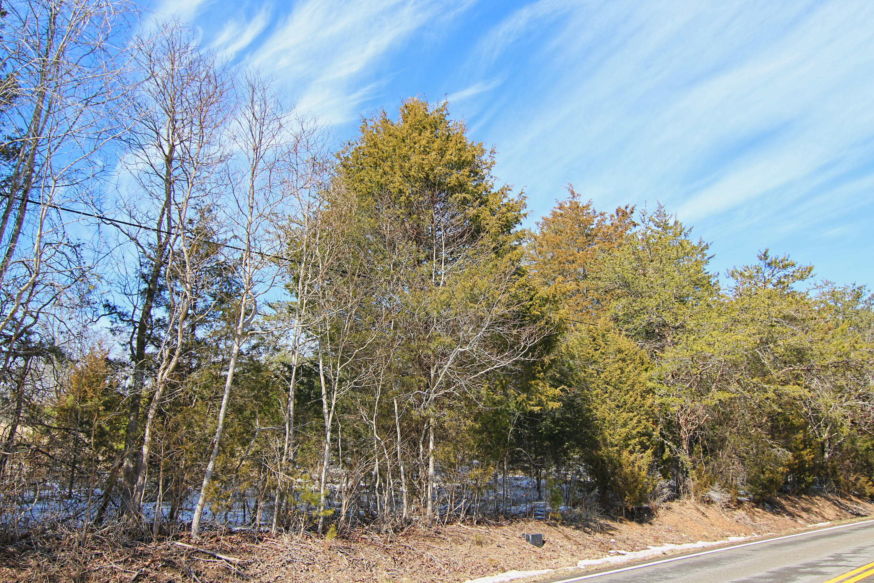 1966 Hickory Valley Road Maynardville, TN 37807 - Photo 6 of 13 Canon 6