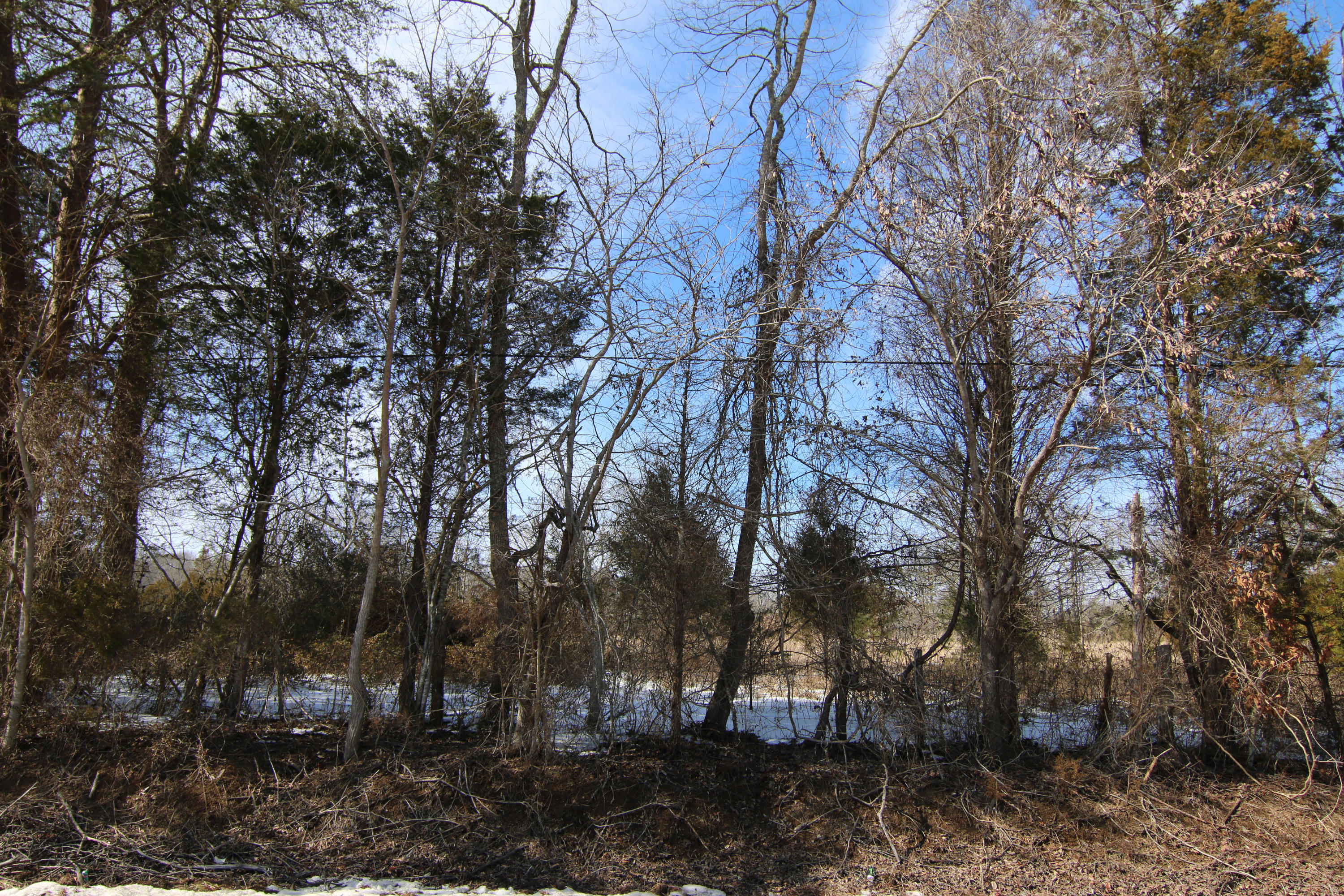 1966 Hickory Valley Road Maynardville, TN 37807 - Photo 7 of 13 Canon 4