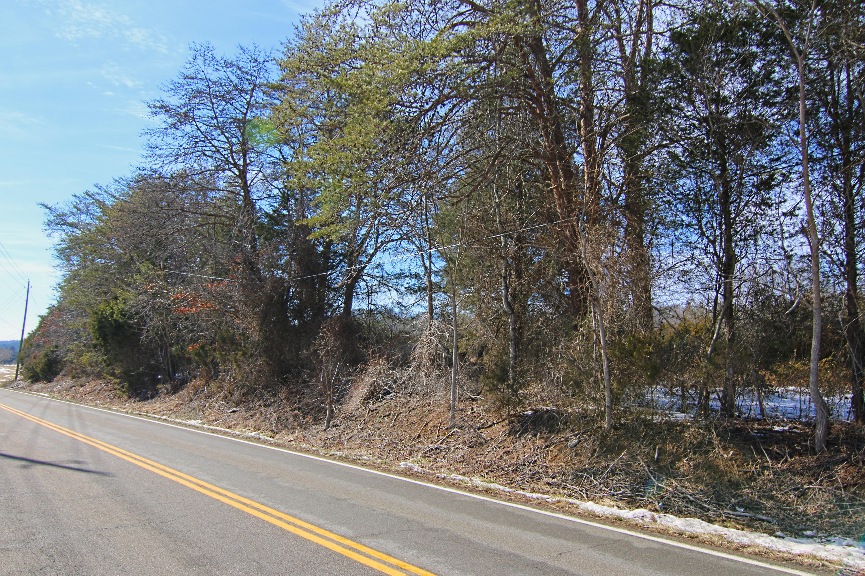 1966 Hickory Valley Road Maynardville, TN 37807 - Photo 8 of 13 Canon 5